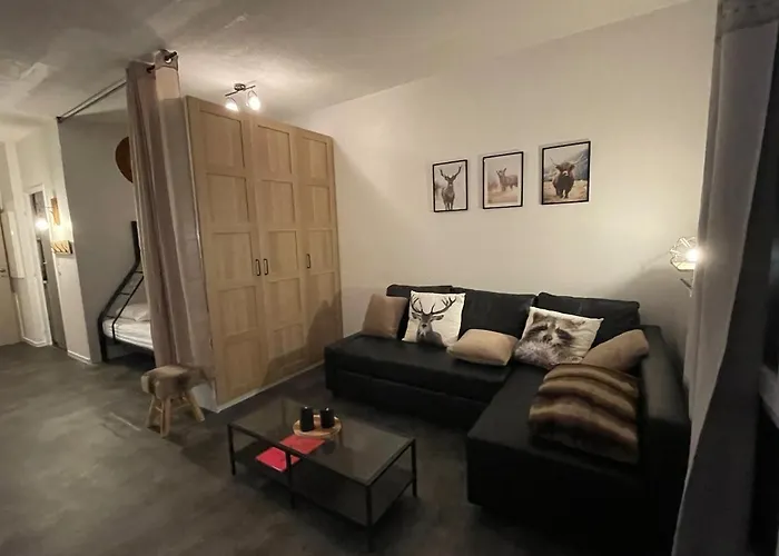 Le Ricou Au Coeur De La Station Les Angles (Pyrenees-Orientales)